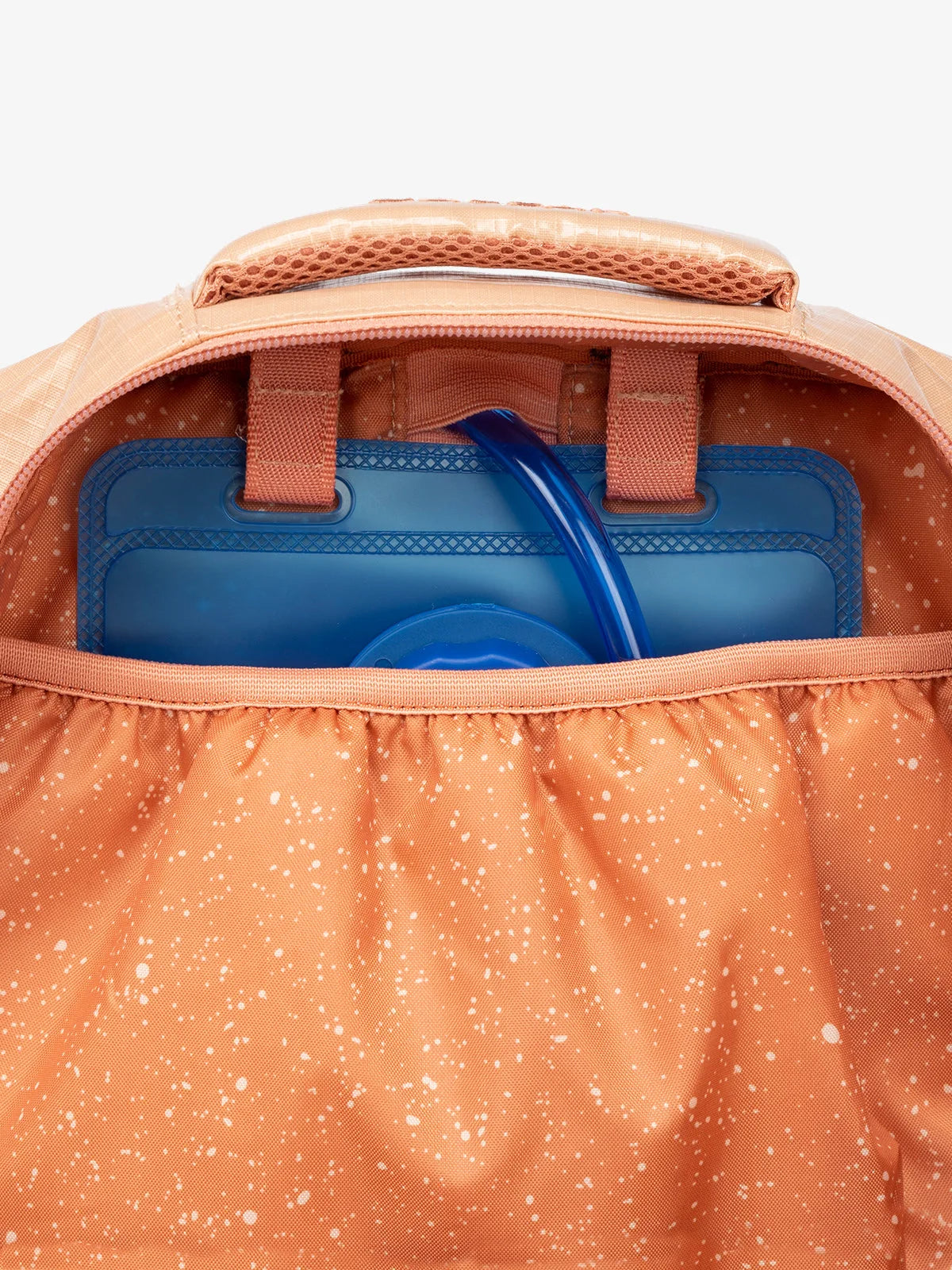 Terra Laptop Backpack