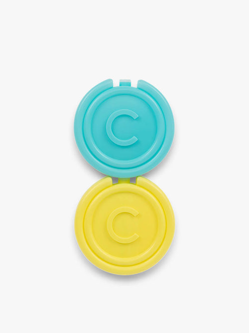 Ice Packs (Set of 2)