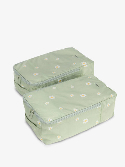 Shoe Cubes - Set of 2